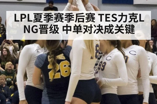 LPL夏季赛季后赛 TES力克LNG晋级 中单对决成关键